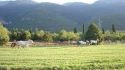 dsc00134